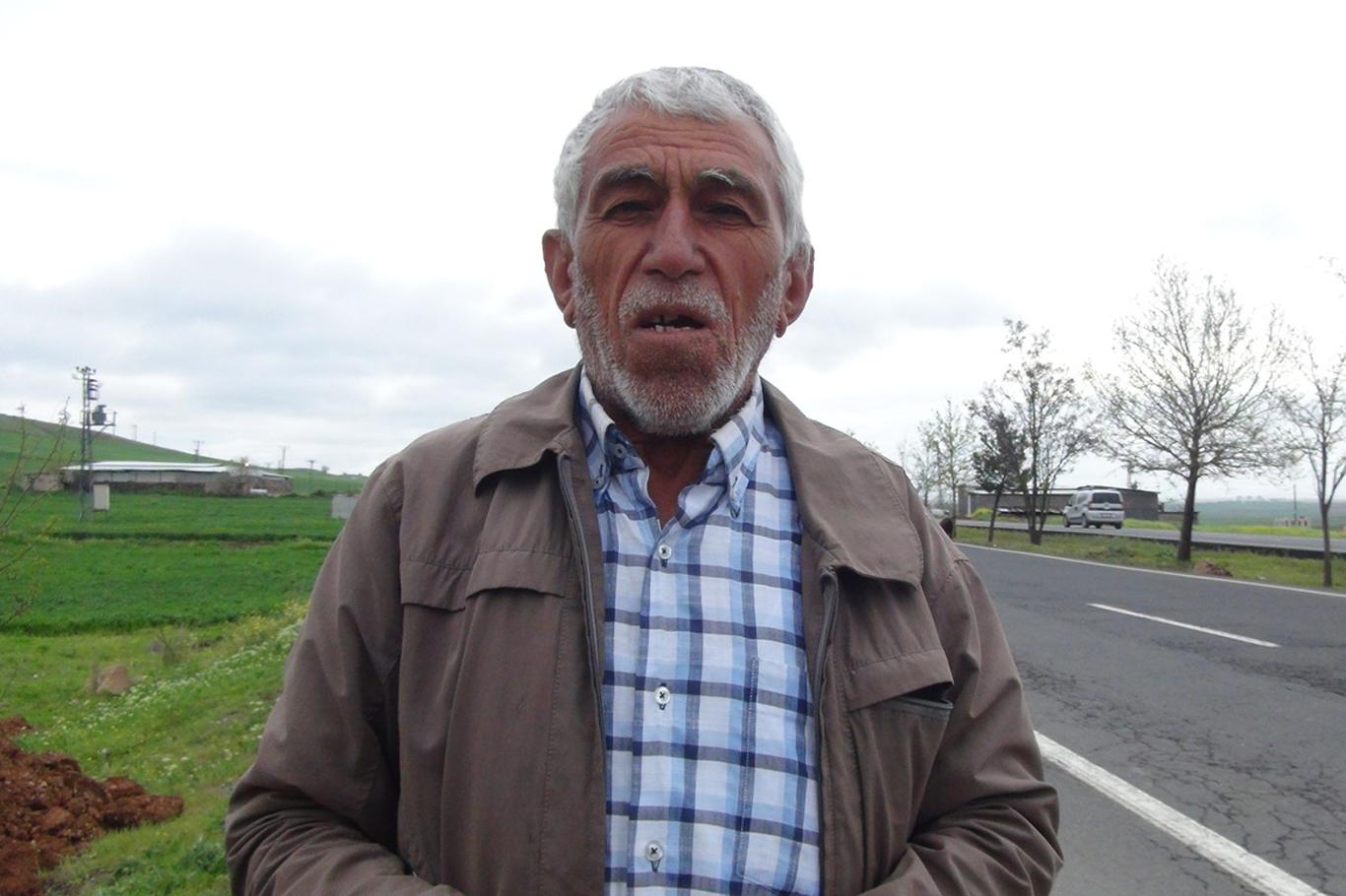 Telef olan eşeğin yavrusu başında bekledi Telef olan eşeğin yavrusu başında bekledi
